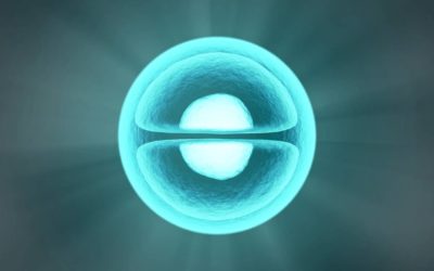 An Overview of Tryptamines – What Exactly Are They?