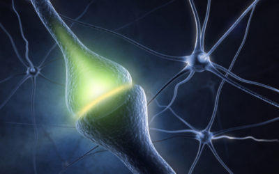 All You Need to Know About Acetylcholine.