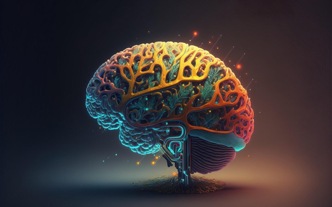 The default mode network