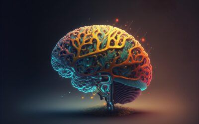 Inside the Mind’s Mirror: Exploring the Default Mode Network (DMN)